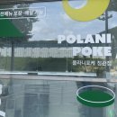 폴라니포케 정관점 | 부산샐러드맛집 폴라니포케 정관점 포장 후기