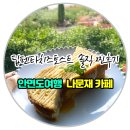 나문재카페 | ✅태안 부모님가족여행 추천 나문재 카페 안면도 찐후기‼️