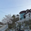 들꽃펜션민박 이미지