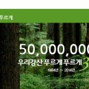 그린워시