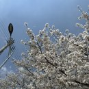 서시천자전거길1 이미지