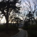 죽변초화성분교장 | 울진, 삼척 등 산불(3.4.)에 따른 학교피해 긴급점검 및 지원 추진