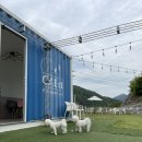 금요일은 3숑이들과 <b>외출하는</b> <b>날</b>