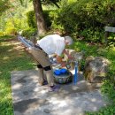 거목산장 이미지