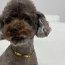 웰케어메디 이미지