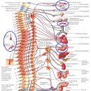 새롬의원 이미지