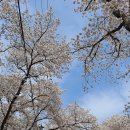 암곡마을회관 이미지