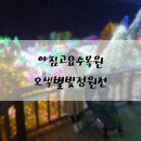 청평하늘정원펜션 | 아침고요수목원 펜션말고 켄싱턴리조트 청평점