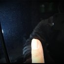 퍼팩트 샤인 광택 이미지