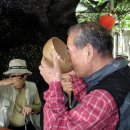 춘성농장 이미지