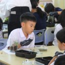 During this term, pupils in Year 4 have been deeply engaged in learning ... 이미지