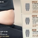 아랫배는 ‘드로인 운동’으로… 울룩불룩 접히는 뱃살은? 이미지