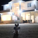 보리토리 이미지