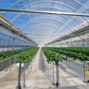 순복농장 이미지