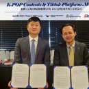 케이네트웍스 이미지