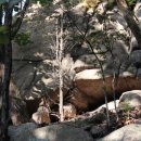 비봉슈퍼 이미지