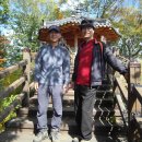 백전소재지 이미지