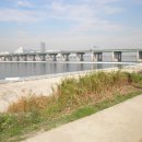 왕숙천 자전거도로12 이미지