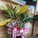 성산건축사사무소 이미지