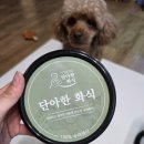 단아한 | 기력 떨어진 우리 아이를 위한 선택! 노견 화식 단아한화식 급여 후기