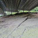 화석 2002 이미지