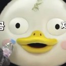 대우전기 - 의왕시 부곡중앙로 39 | 대우전기
