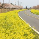 오월펜션 이미지