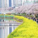 시립연산도서관 이미지