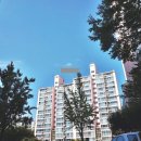 수원-1303 이미지