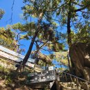 도봉탐방지원센터 | 도봉산 가을단풍 등산기 | 도봉탐방지원센터~신선대 원점회귀 (주차 정보!)