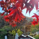 "계룡산국립공원 단풍 🍁 소풍기 " 이미지