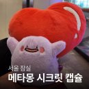 서울 잠실 메타몽의 시크릿 캡슐맨션 메타몽 스노우볼 후기