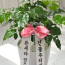 돈나무피시방