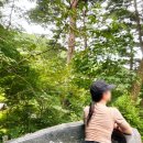 표준반상 | 제천여행 포레스트리솜 S25,해브나인 스파 재방문 후기