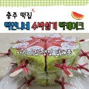 수박이네 | 충주 떡집 떡언니네 수박설기 떡케이크 어린이집 생일 답례품 백일 돌 내돈내산 후기