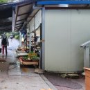 아랫배랭이 이미지