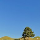 동촌역사 작은도서관 이미지