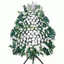 괴정3동-6 이미지