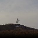 진화