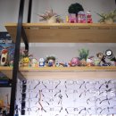 최군안경 이미지