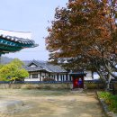 경전세탁소 | 가을여행, 전기자전거 타고 강화이야기 투어 떠나볼까?
