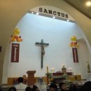 성바오로유치원 이미지