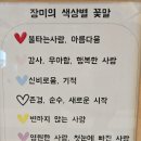 미화 | 천안 신방동 24시간 꽃집, "미화플라워" 내돈내산 구매후기 :)