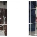 농심주유소 이미지