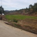 고금면-2 이미지