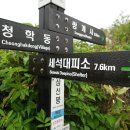 유성온천역(7번 출구) 버스정류장 이미지