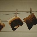 명랑한가 이미지