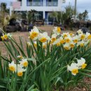 요나하우스 이미지