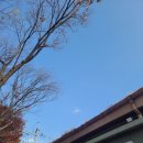 허서방추어탕메기매운탕 | 안양유원지 허서방 추어탕메기매운탕