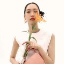 소프트파인드
